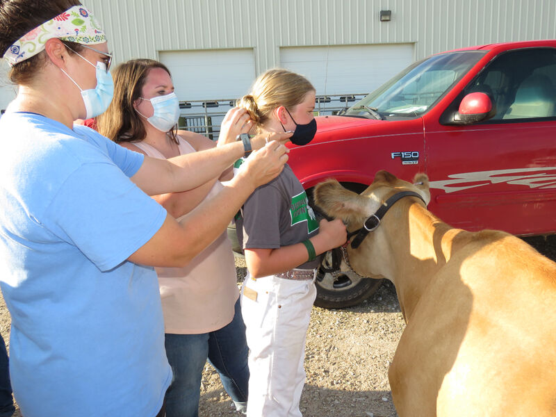 Dairy, hair help for Madelyn Weekley, with mom and aunt